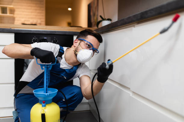 Best Pest Removal Services  in Shenandoah Farms, VA