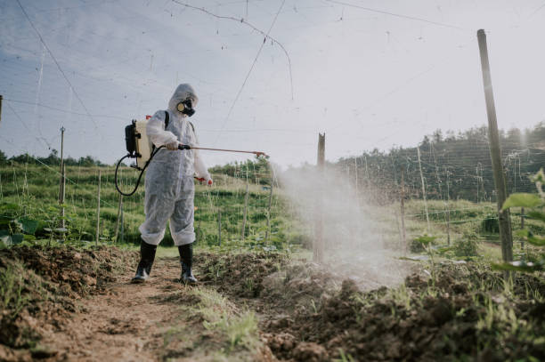 Best Affordable Pest Control Services  in Shenandoah Farms, VA
