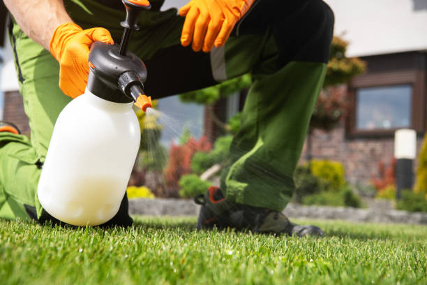 Best Pest Prevention Services  in Shenandoah Farms, VA