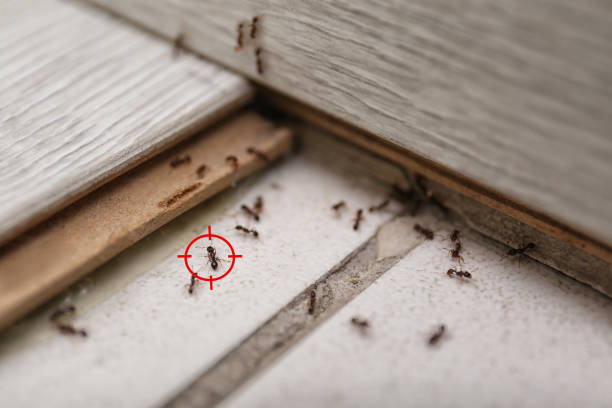 Pest Control Cost in Shenandoah Farms, VA