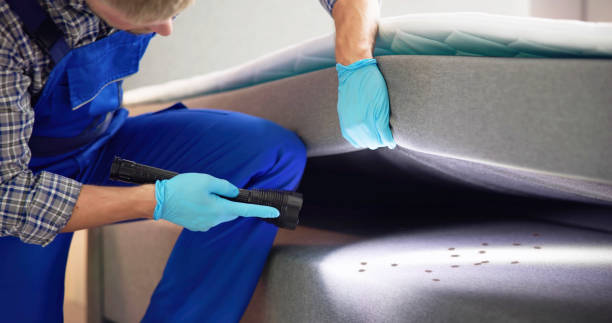Best Best Pest Control Companies  in Shenandoah Farms, VA