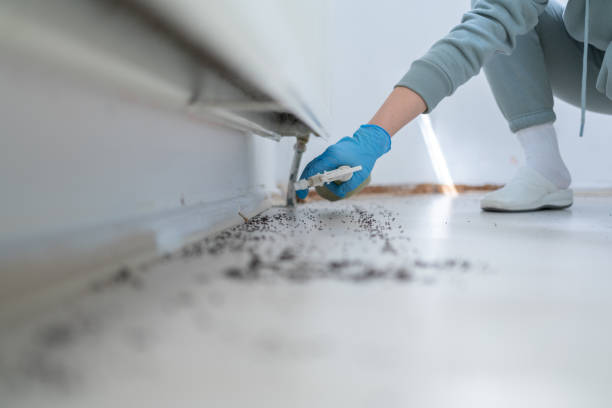 Best Best Pest Control Companies  in Shenandoah Farms, VA